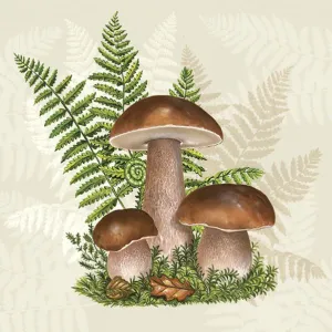 Serwetki mix bibuła [mm:] 330x330 Pol-mak (SL og)