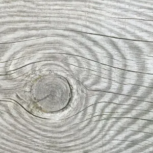 Serwetki Pol-mak - mix 330mm x 330mm (SL og)