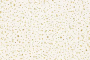 Torba prezentowa torebka BN folia [mm:] 400x500 (S13)