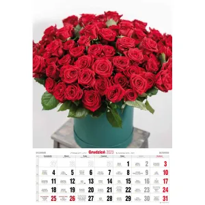 Kalendarz ścienny Avanti wieloplanszowy paskowy 285mm x 420mm (5901769620476)