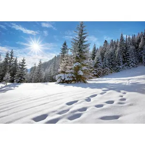 Kalendarz ścienny Tatry i Podhale Lucrum rodzinny 2023 280mm x 200mm (WL05)