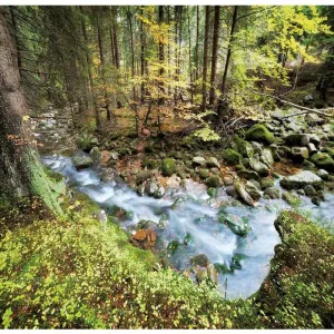 Kalendarz ścienny Lucrum 13-planszowe 320mm x 470mm (RW04)