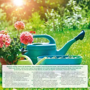 Kalendarz ścienny Avanti wieloplanszowy 300mm x 600mm (5901769620407)