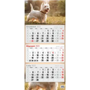 Kalendarz ścienny Avanti mix (5902641330056)