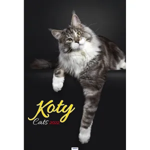 Kalendarz ścienny Avanti wieloplanszowy paskowy 285mm x 410mm (5901769621091)