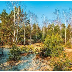 Kalendarz ścienny Lucrum 13-planszowe 320mm x 470mm (RW04)