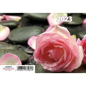 Kalendarz książkowy (terminarz) Avanti 70mm x 105mm (5901769620629)