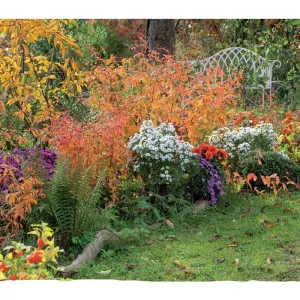 Kalendarz ścienny OGRODY RAJSKIE 13-planszowe 2024 320mm x 470mm Lucrum (RW11)