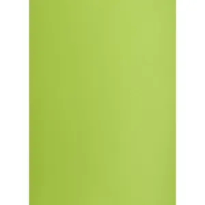 Brystol Creatinio zielony jasny B1 zielony jasny 225g 1k (400150267)