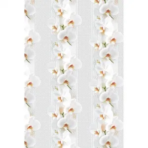 Papier ozdobny Pol-mak - mix 700mm x 1000mm