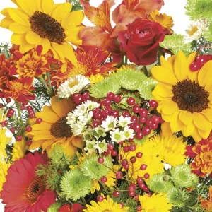Serwetki mix bibuła [mm:] 330x330 Pol-mak (Sd)