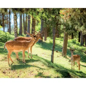 Kalendarz ścienny MALARSTWO IMPRESJONISTÓW 13-planszowe 2024 320mm x 470mm Lucrum (RW07)