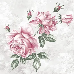 Serwetki mix bibuła [mm:] 330x330 Pol-mak (SL og)