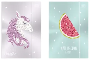 Teczka kartonowa na gumkę Interdruk Cartoon Networ A4+ kolor: mix (TEGUFLMET)