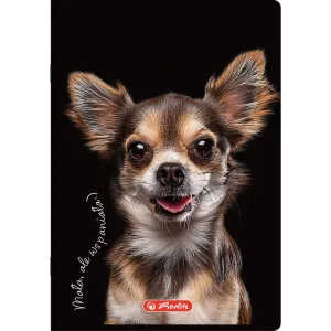 Zeszyt Crazy Animal A5 60k. 70g krata Herlitz (400196837)