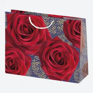 Torba prezentowa Pol-mak 300mm x 230mm x 100mm (T6)