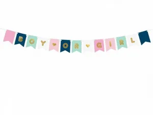 Baner Partydeco Boy or Girl, mix, 15 x 175 cm (GRL62)