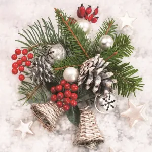 Serwetki Pol-mak gwiazdka - mix 330mm x 330mm (Sd GW)