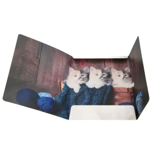 Teczka kartonowa na gumkę Kotki A4 mix Starpak (559717)