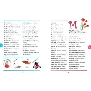 Książka dla dzieci Słownik ortograficzny Aksjomat