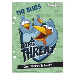 Wkład do segregatora Angry Birds A5 Derform (WA5AB)