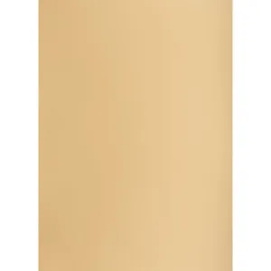 Brystol TOP-2000 A1 jasnobrązowy 160g 25k 610mm x 860mm (400149527)