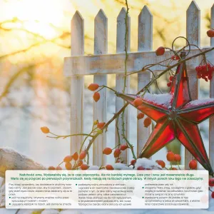 Kalendarz ścienny Avanti wieloplanszowy 300mm x 600mm (5901769620407)