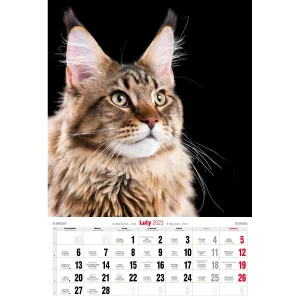 Kalendarz ścienny Avanti wieloplanszowy paskowy 285mm x 410mm (5901769621091)