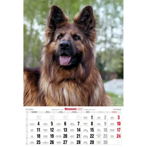 Kalendarz ścienny Avanti wieloplanszowy paskowy 285mm x 410mm (5901769621107)