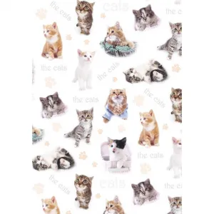 Papier ozdobny Pol-mak - mix 700mm x 1000mm