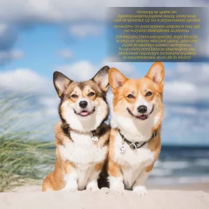 Kalendarz ścienny Avanti wieloplanszowy 300mm x 600mm (KAD-10)