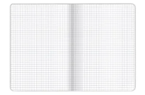 Zeszyt OCEAN A5 16k. 70g krata Top 2000 (400181612)