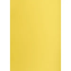 Brystol Creatinio żółty B1 żółty 225g 1k (400150264)