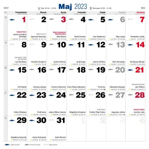Kalendarz ścienny Avanti wieloplanszowy 300mm x 600mm (5901769620971)
