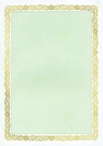 Dyplom Galeria Papieru maori zielony A4 190g (210319)