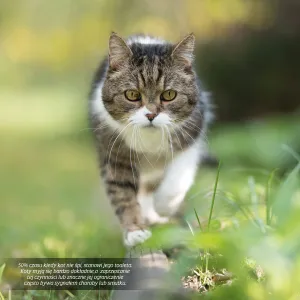 Kalendarz ścienny Avanti wieloplanszowy 300mm x 300mm (KAD-9)