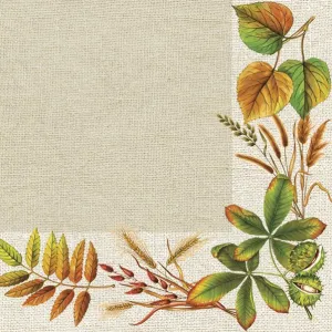 Serwetki mix bibuła [mm:] 330x330 Pol-mak (SL og)