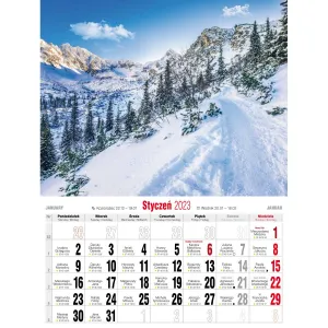 Kalendarz ścienny Avanti wieloplanszowy 230mm x 320mm (5901769620070)