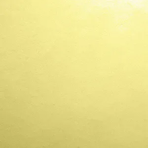 Papier ozdobny (wizytówkowy) A4 gładki-krem kremowy 246g Protos