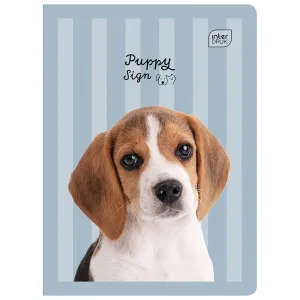 Zeszyt KOL3= A5 32k. 70g linia kolor Interdruk