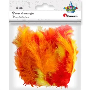 Piórka Craft-Fun Series mix 50 szt Titanum (210039)