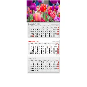 Kalendarz ścienny Avanti trójdzielne (5901769620568)