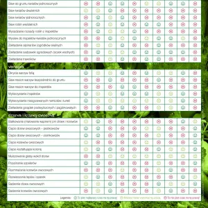 Kalendarz ścienny Avanti wieloplanszowy 300mm x 600mm (5901769620407)