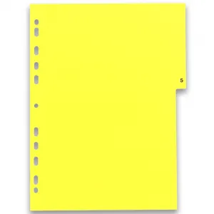 Przekładka numeryczna Oxford A4 mix 12k 1-12 225mm x 300mm (100204769)