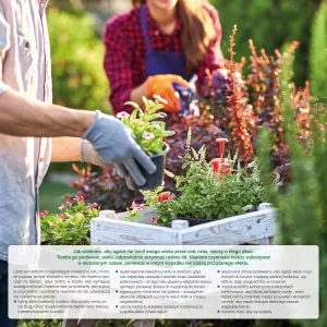 Kalendarz ścienny Avanti wieloplanszowy 300mm x 600mm (5901769620407)