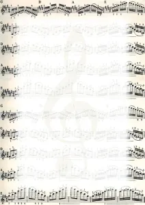Dyplom A4 Nuty 170g Galeria Papieru (213317)