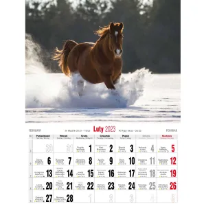 Kalendarz ścienny Avanti wieloplanszowy 230mm x 320mm (5901769620049)