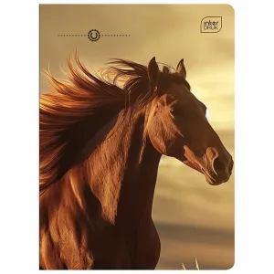 Zeszyt KOL3= A5 32k. 70g linia kolor Interdruk