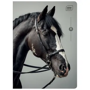 Zeszyt WILD HORSES A5 32k. 70g krata Interdruk