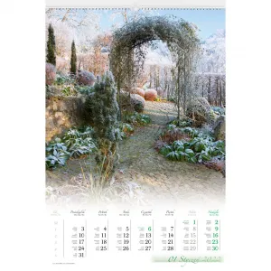 Kalendarz ścienny Lucrum 13-planszowe 320mm x 470mm (RW11)